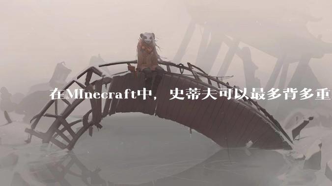 在Minecraft中，史蒂夫可以最多背多重的物品?