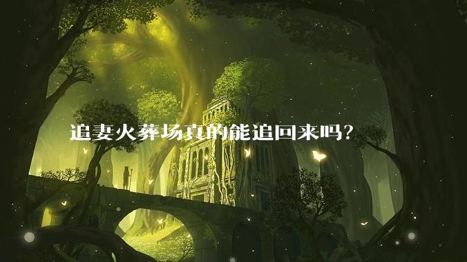 追妻火葬场真的能追回来吗？