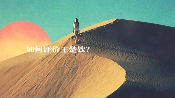 如何评价王楚钦？