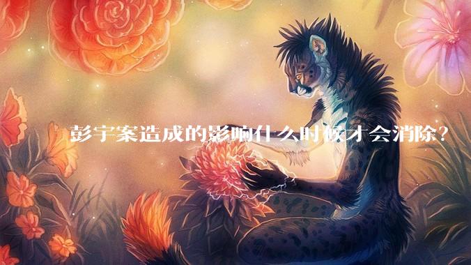 彭宇案造成的影响什么时候才会消除？