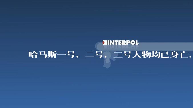 哈马斯一号、二号、三号人物均已身亡，哈马斯是一个什么样的组织？对巴勒斯坦抵抗运动走向有何影响？