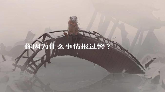 你因为什么事情报过警?