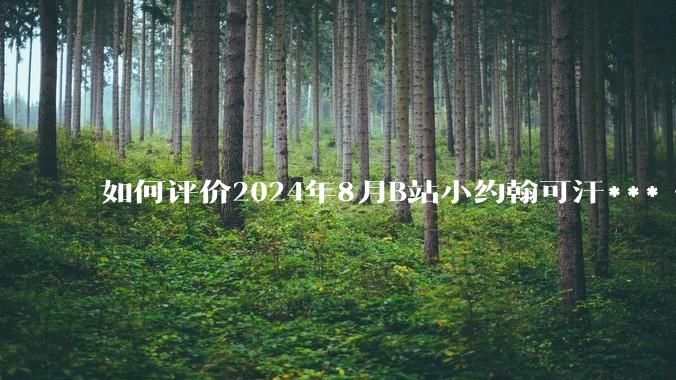 如何评价2024年8月B站小约翰可汗***《英国最有松弛感工程—HS2高铁公司》?