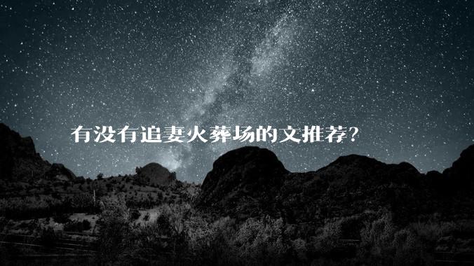 有没有追妻火葬场的文推荐？