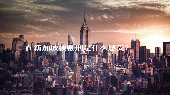 在新加坡被鞭刑是什么感受？