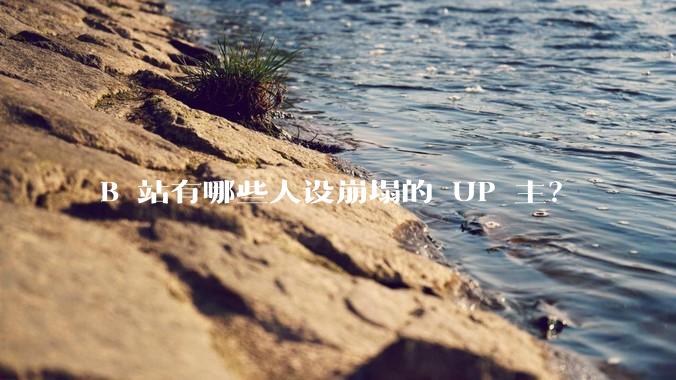 B 站有哪些人设崩塌的 UP 主？