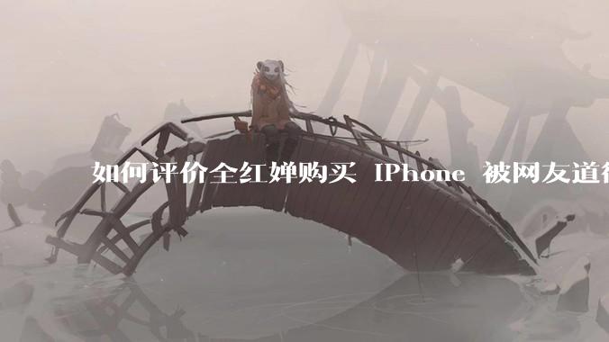 如何评价全红婵购买 iPhone 被网友道德***这件事？