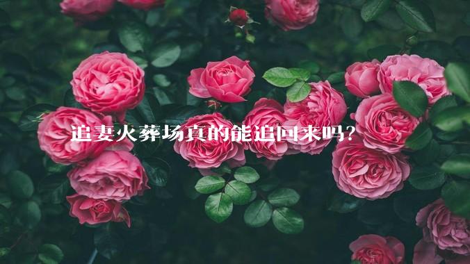 追妻火葬场真的能追回来吗？