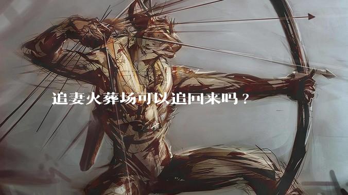 追妻火葬场可以追回来吗?