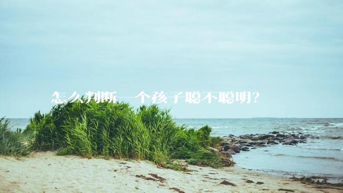 怎么判断一个孩子聪不聪明？