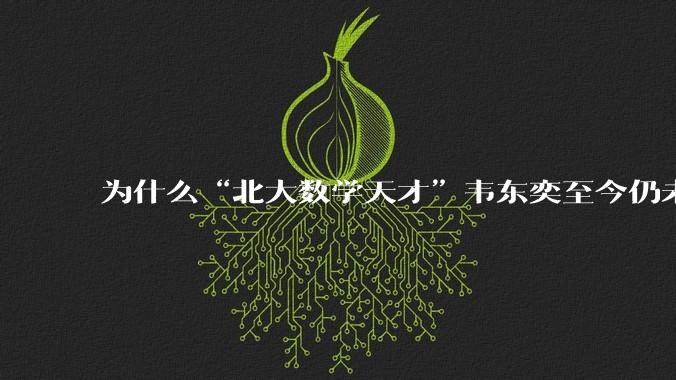 为什么“北大数学天才”韦东奕至今仍未取得任何实质性成就却被封神？