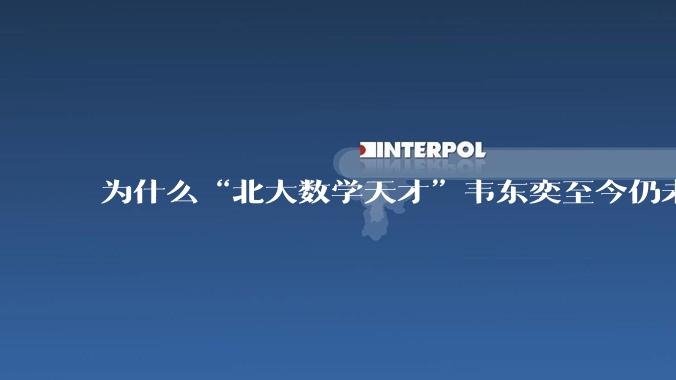 为什么“北大数学天才”韦东奕至今仍未取得任何实质性成就却被封神？