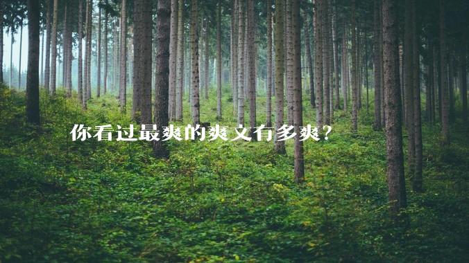 你看过最爽的爽文有多爽？