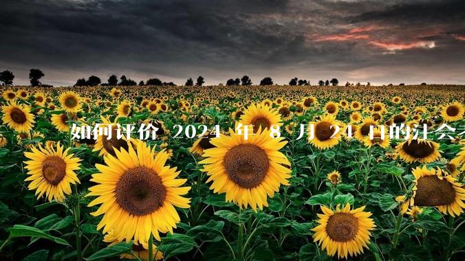 如何评价 2024 年 8 月 24 日的注会考试?