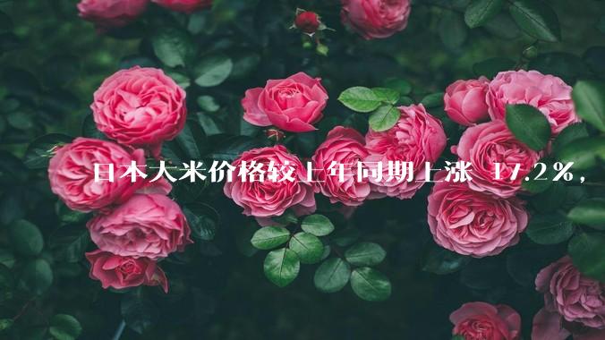 日本大米价格较上年同期上涨 17.2%，为 20 年来最大涨幅，东京等地超市大米供应紧张，发生了什么？
