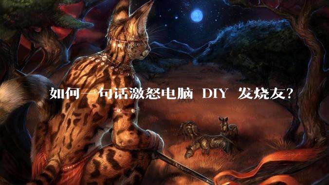 如何一句话激怒电脑 DIY 发烧友？