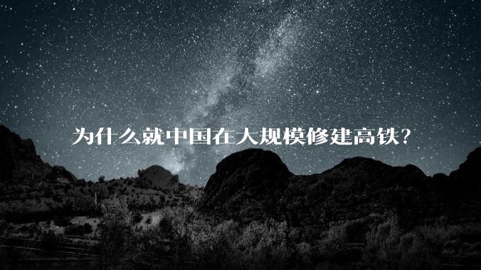 为什么就中国在大规模修建高铁？