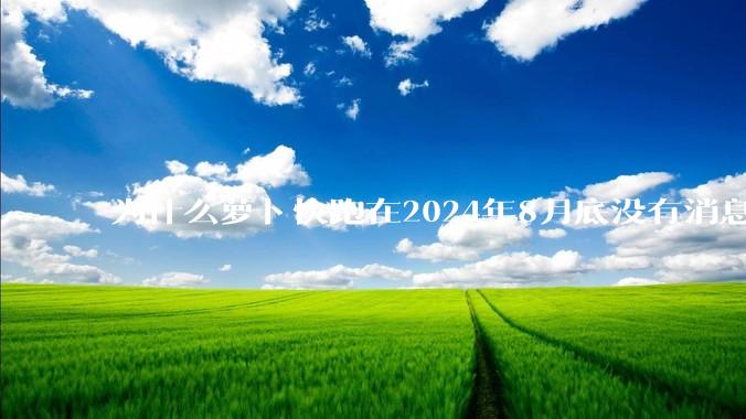 为什么萝卜快跑在2024年8月底没有消息了?