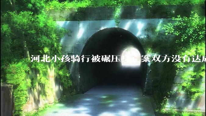 河北小孩骑行被碾压身亡案双方没有达成协商，已移送至检察机关，司机是否涉嫌过失致人死亡罪？如何解读？