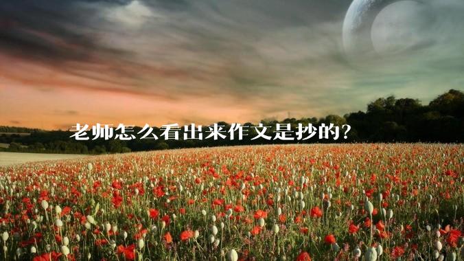 老师怎么看出来作文是抄的？