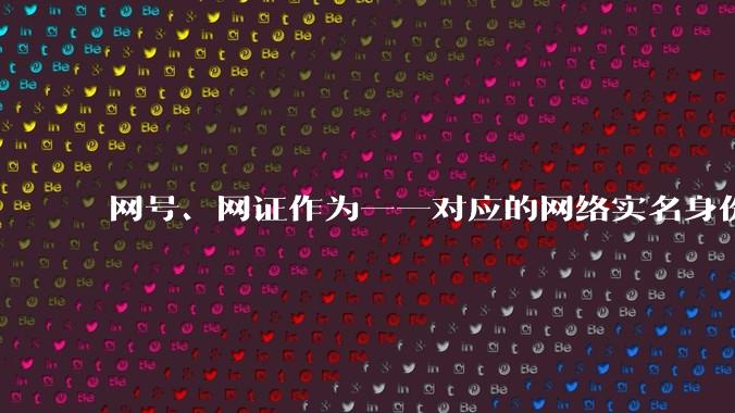 网号、网证作为一一对应的网络实名身份，能够为网络实名选举带来机遇和可能吗？