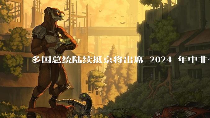 多国总统陆续抵京将出席 2024 年中非合作论坛峰会，此次峰会将有哪些信息值得关注？