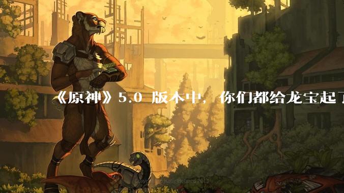 《原神》5.0 版本中，你们都给龙宝起了什么名字？有什么渊源？