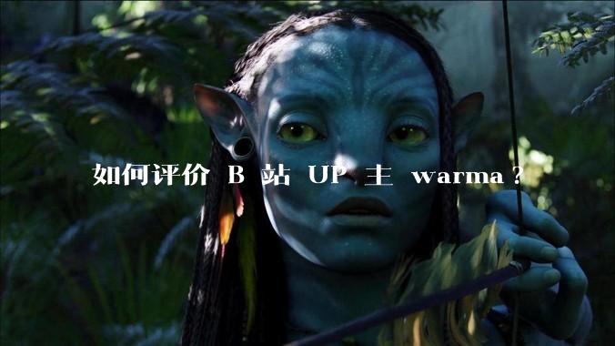 如何评价 B 站 UP 主 warma?