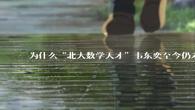 为什么“北大数学天才”韦东奕至今仍未取得任何实质性成就却被封神？