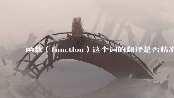 函数（function）这个词的翻译是否精准？