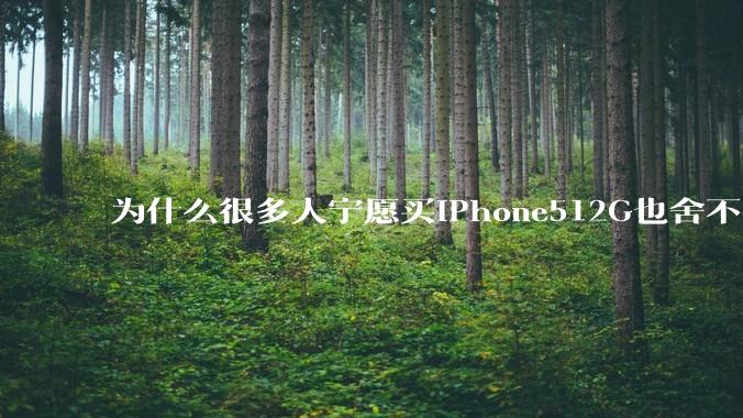 为什么很多人宁愿买iPhone512G也舍不得开通iCloud 2T的云存储呢？