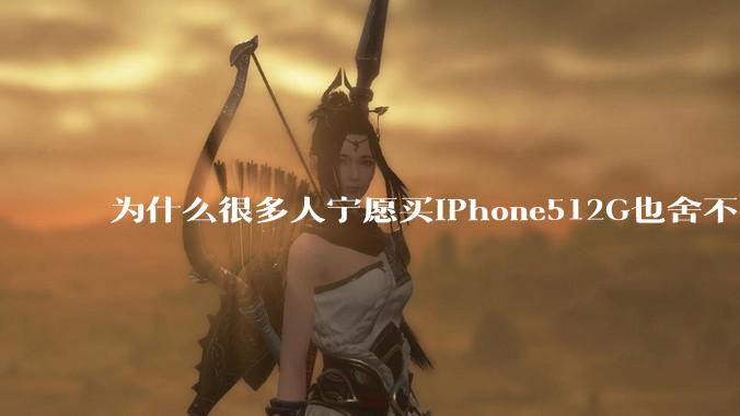 为什么很多人宁愿买iPhone512G也舍不得开通iCloud 2T的云存储呢？