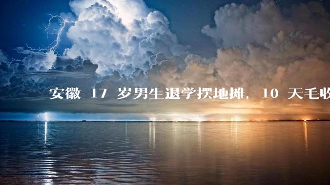 安徽 17 岁男生退学摆地摊，10 天毛收入万元，父母该支持孩子选择还是引导孩子回学校？理由有哪些？