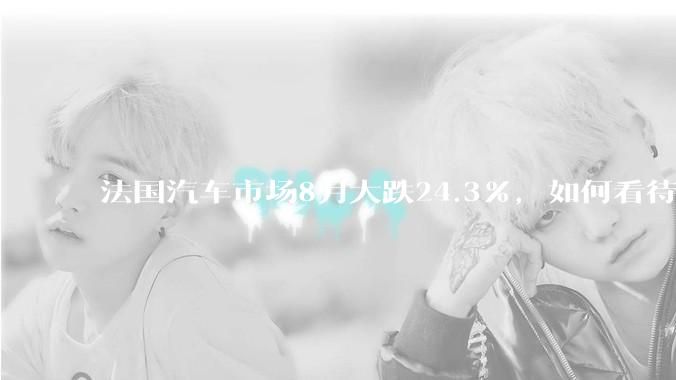 法国汽车市场8月大跌24.3%，如何看待这一数据？