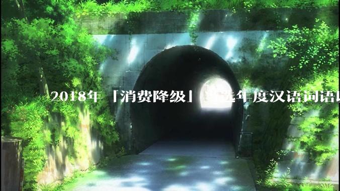 2018年「消费降级」当选年度汉语词语以来，中国内地居民「消费降级」情况如何？