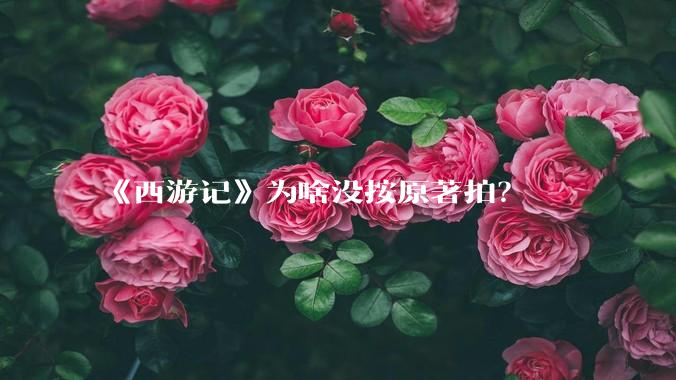 《西游记》为啥没按原著拍？