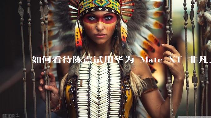 如何看待陈震试用华为 Mate XT 非凡大师遭遇锁机，表示「有种被监视的感觉，感受极差」？