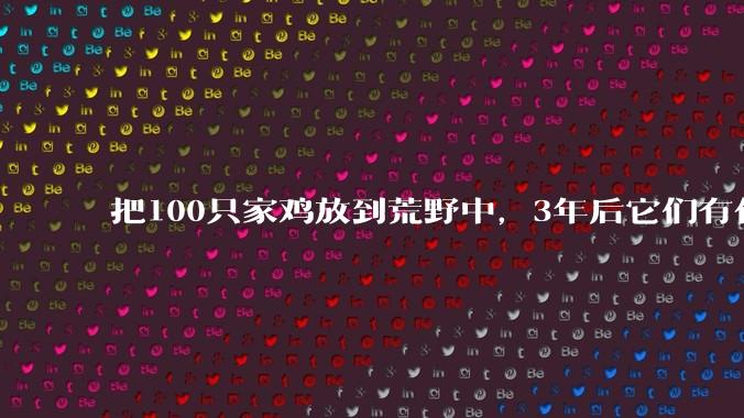 把100只家鸡放到荒野中，3年后它们有什么变化？