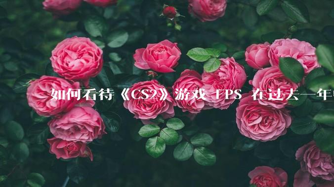 如何看待《CS2》游戏 FPS 在过去一年中下降了约 20%？