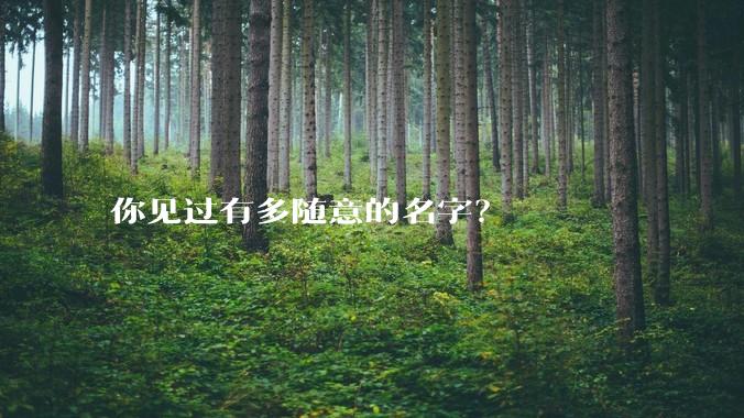 你见过有多随意的名字？