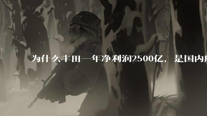 为什么丰田一年净利润2500亿，是国内所有车企总和的2.5倍？