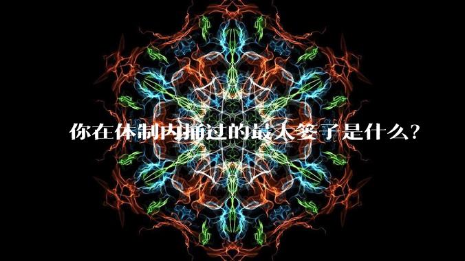 你在体制内捅过的最大篓子是什么？