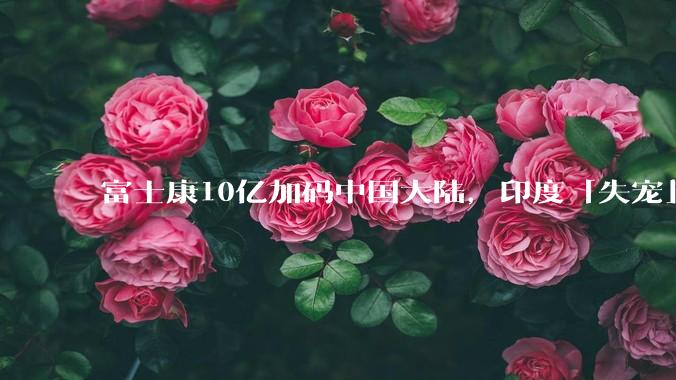 富士康10亿加码中国大陆，印度「失宠」，其为何将部分产能从印度转回中国大陆？此转变对中国大陆有何影响？