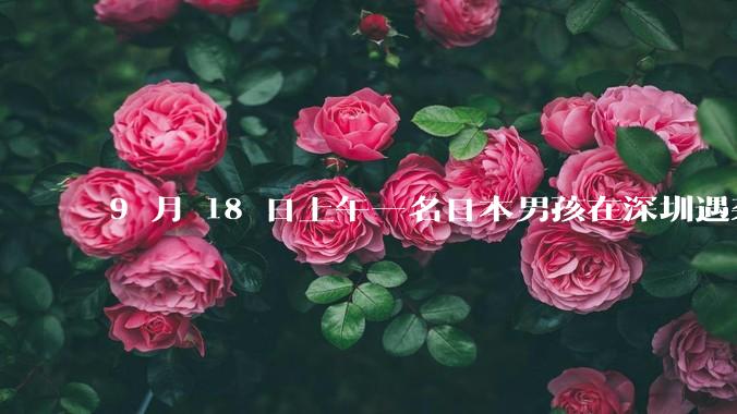 9 月 18 日上午一名日本男孩在深圳遇袭受伤，男孩目前情况如何？此事带来哪些警示？