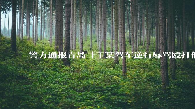 警方通报青岛「王某驾车逆行辱骂殴打他人」案件情况，有哪些细节值得关注？