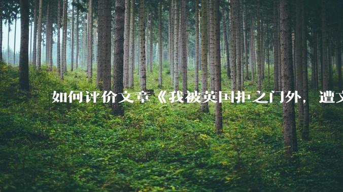 如何评价文章《我被英国拒之门外，遭文明误伤的感觉真痛》？