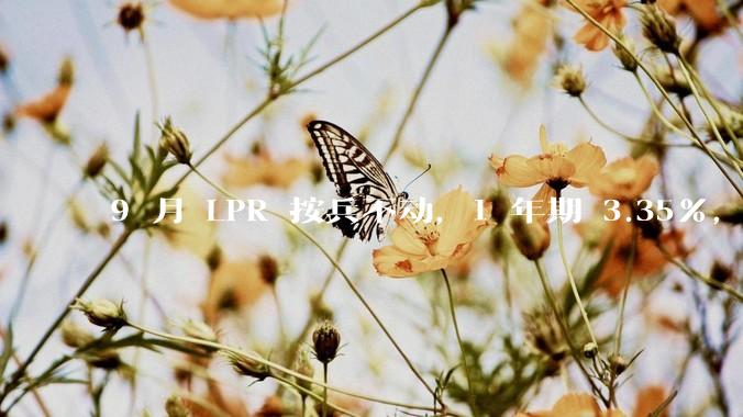 9 月 LPR 按兵不动，1 年期 3.35%，5 年期以上 3.85%，如何解读？哪些信息值得关注？