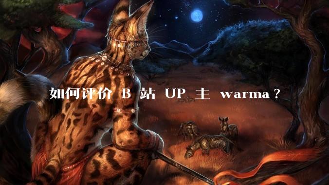 如何评价 B 站 UP 主 warma?