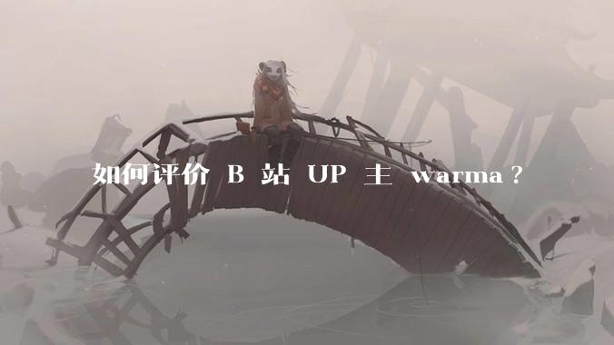 如何评价 B 站 UP 主 warma?