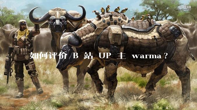 如何评价 B 站 UP 主 warma?